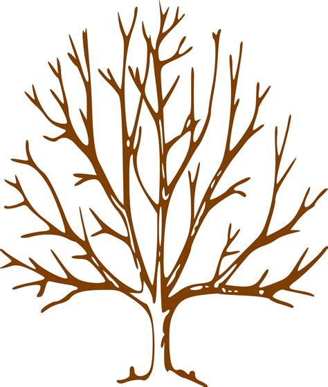 tree branch clipart|tree with bare branches clip art.